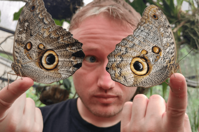 Jon Perry from Stated Clearly looks at butterflies in Ecuador